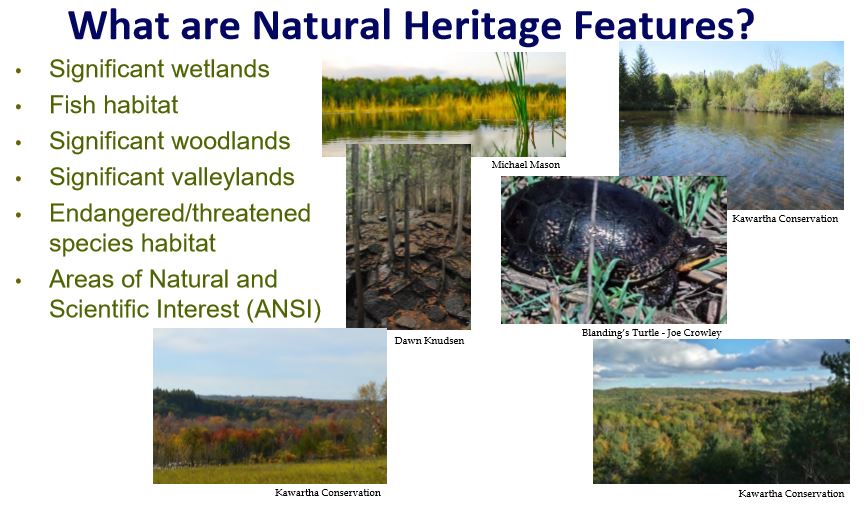 The Role Of Natural Heritage Systems Kawarthas Naturally Connected